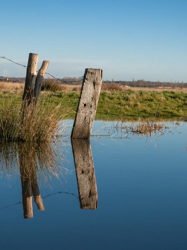 Marais Breton2