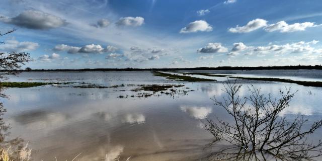 Marais Hiver Machecoul Jljavel