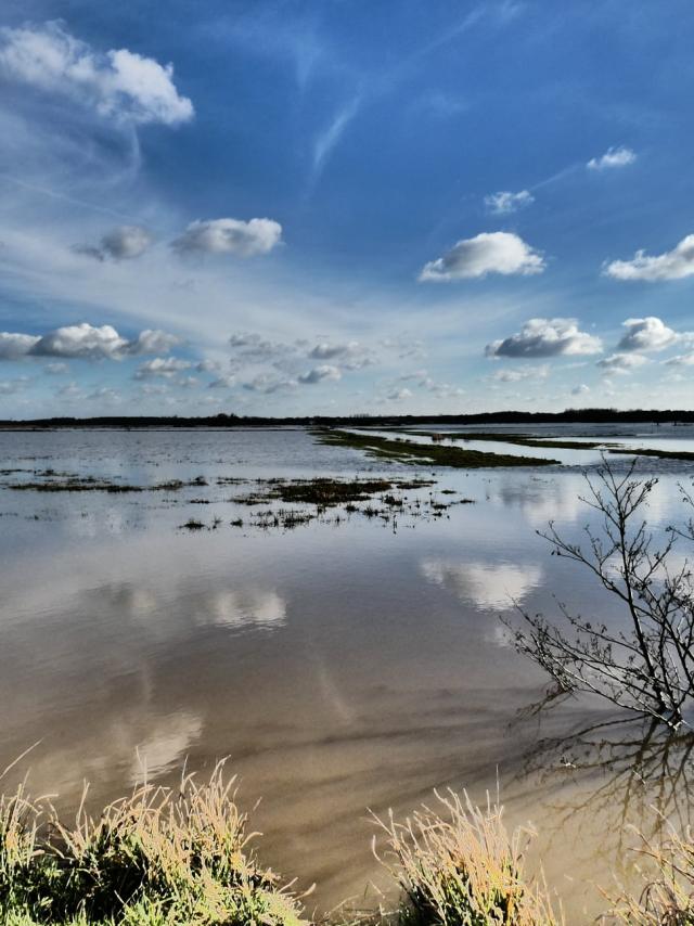 Marais Hiver Machecoul Jljavel