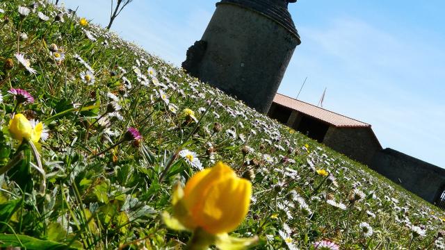 Abbaye-de-la-Chaume