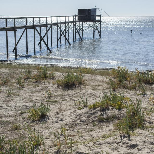 plage-de-lyarne-les-moutiers-patrick-gerard-min.jpg