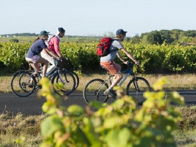 Vélo Et Fromages