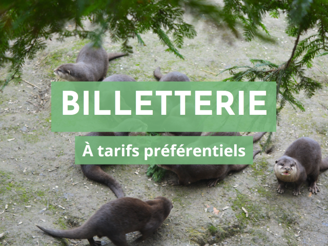 Billetterie