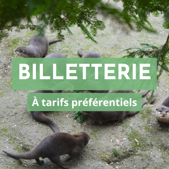 Billetterie